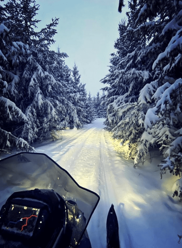 Winter Activity in Roseau 