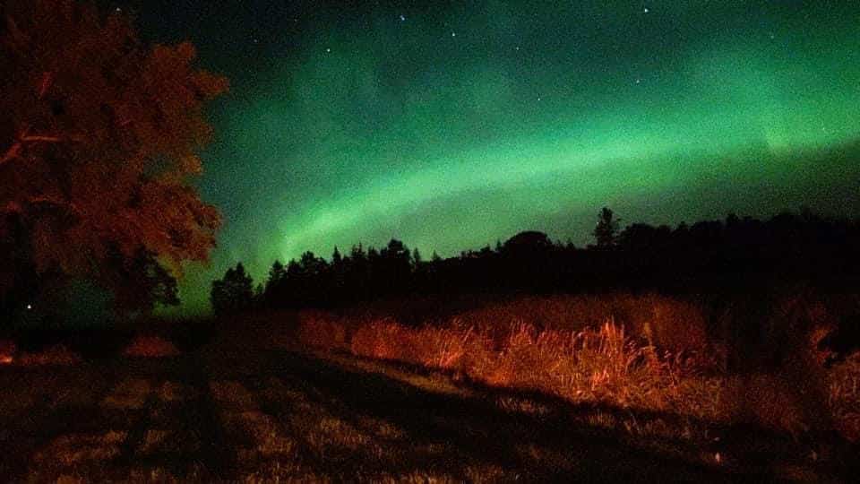 Northern Lights Roseau, MN