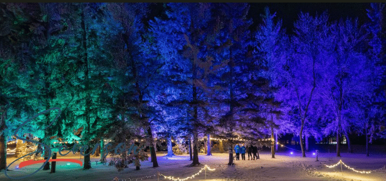 Nights of Lights