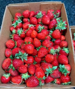 strawberry pie recipe