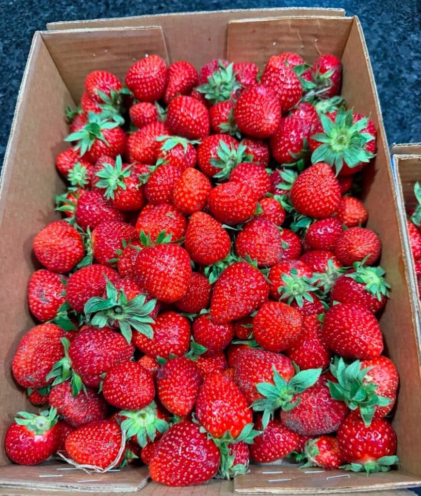 strawberry pie recipe