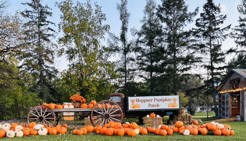Fall