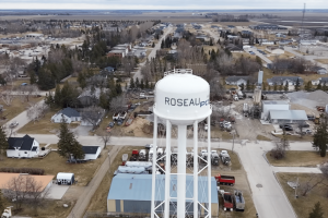 roseau